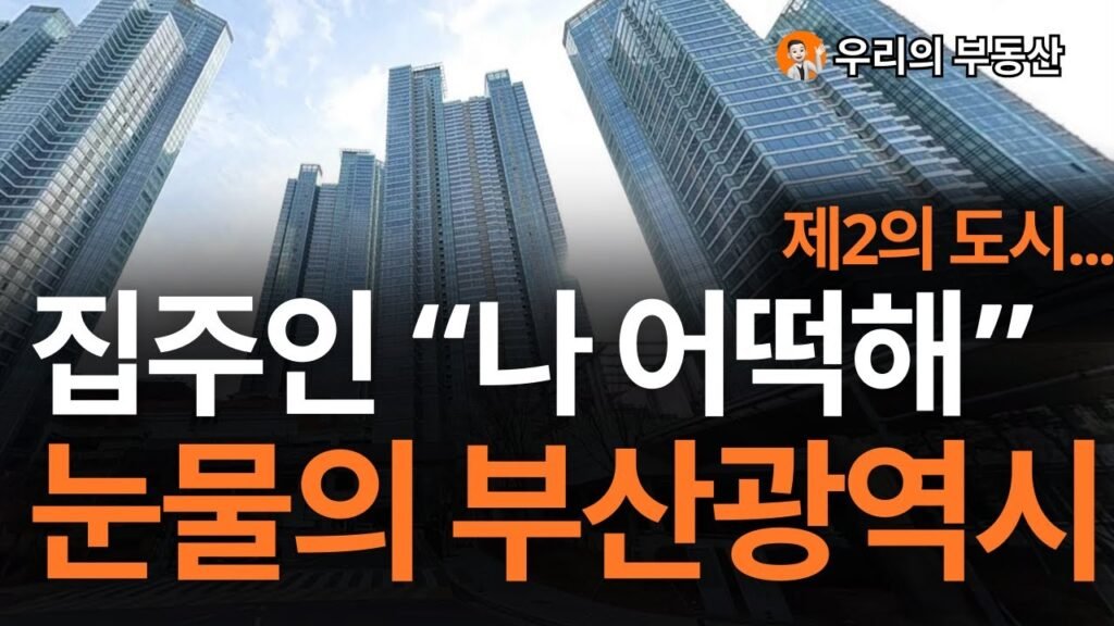 부산광역시 집 값 전망과 앞으로의 부동산 시장