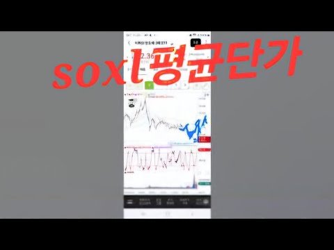 미국주식 투자와 한국인의 평균단가 탐구