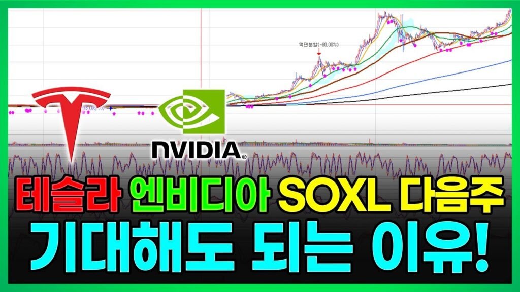 드디어 테슬라와 엔비디아, 다음 주 주목할 이유! 지금이 집중할 때입니다