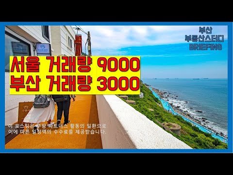 부산 거래량 증가에 따른 부동산 시장 분석