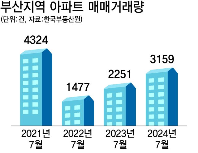 부산 거래량 증가에 따른 부동산 시장 분석