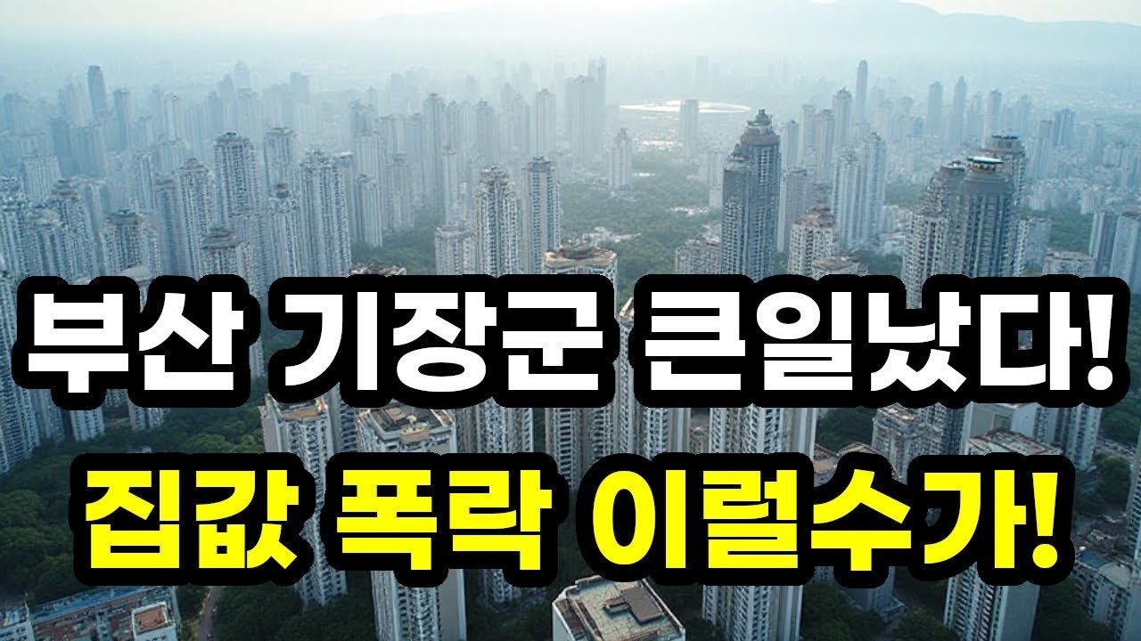 부산 기장군 아파트 가격 급락 이슈